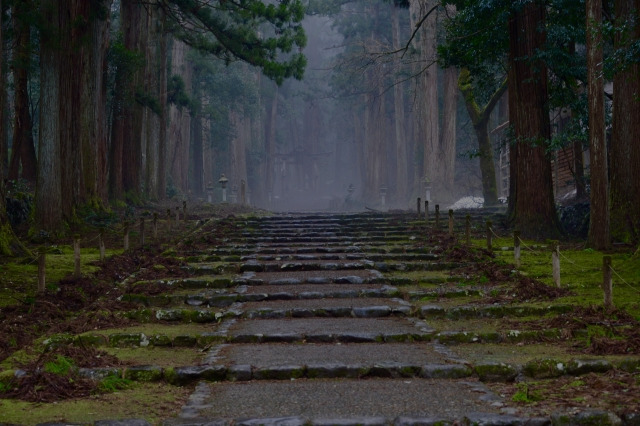 『今際の国のアリス』シーズン3ロケ地まとめ｜神社・トンネル・渋谷交差点や神戸も？