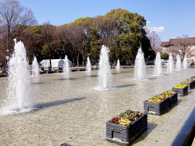 余命10年 ロケ地を完全網羅！あの感動シーンの撮影場所はどこ？