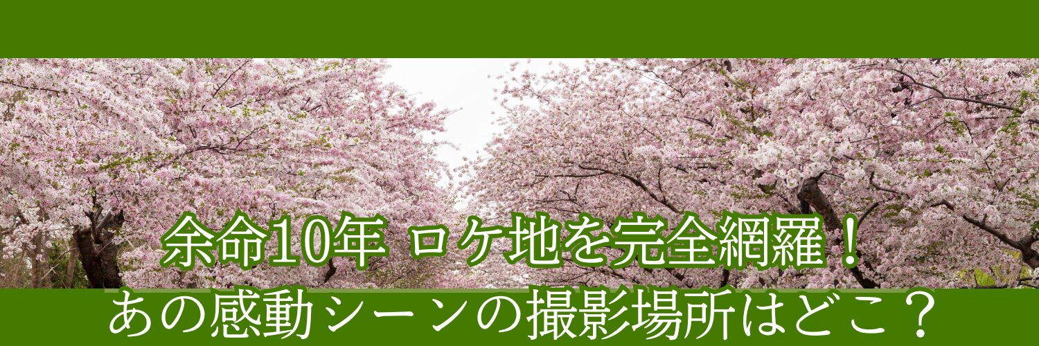 余命10年 ロケ地を完全網羅！あの感動シーンの撮影場所はどこ？
