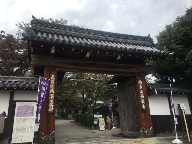 ちるらん新撰組鎮魂歌・京都決戦篇のロケ地はどこ?竹林&寺社9選